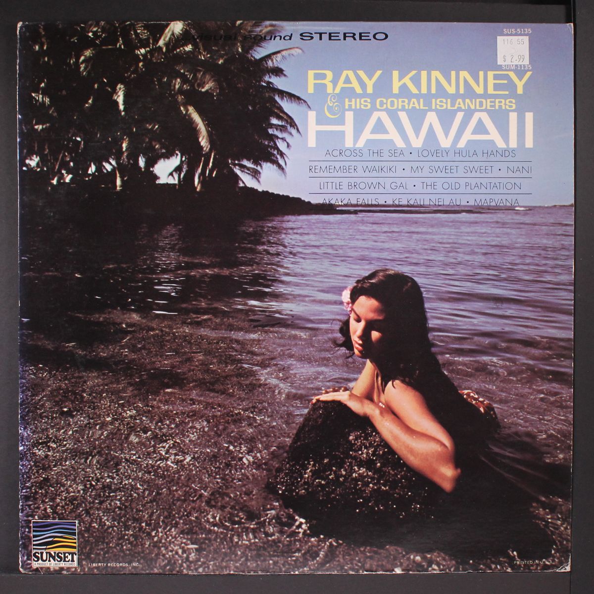 hawaii by RAY KINNEY & CORAL ISLANDERS