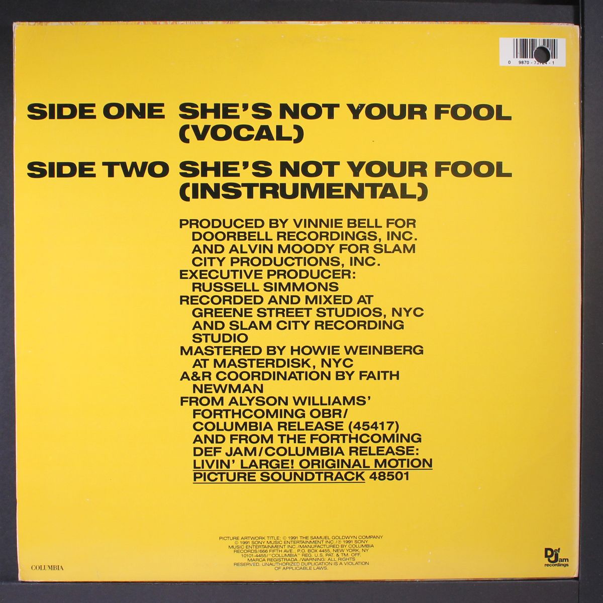 she's not your fool by ALYSON WILLIAMS