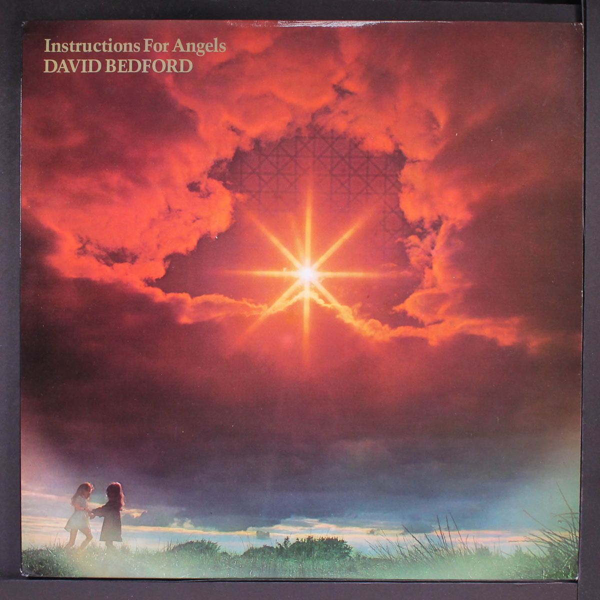 instructions for angels by DAVID BEDFORD