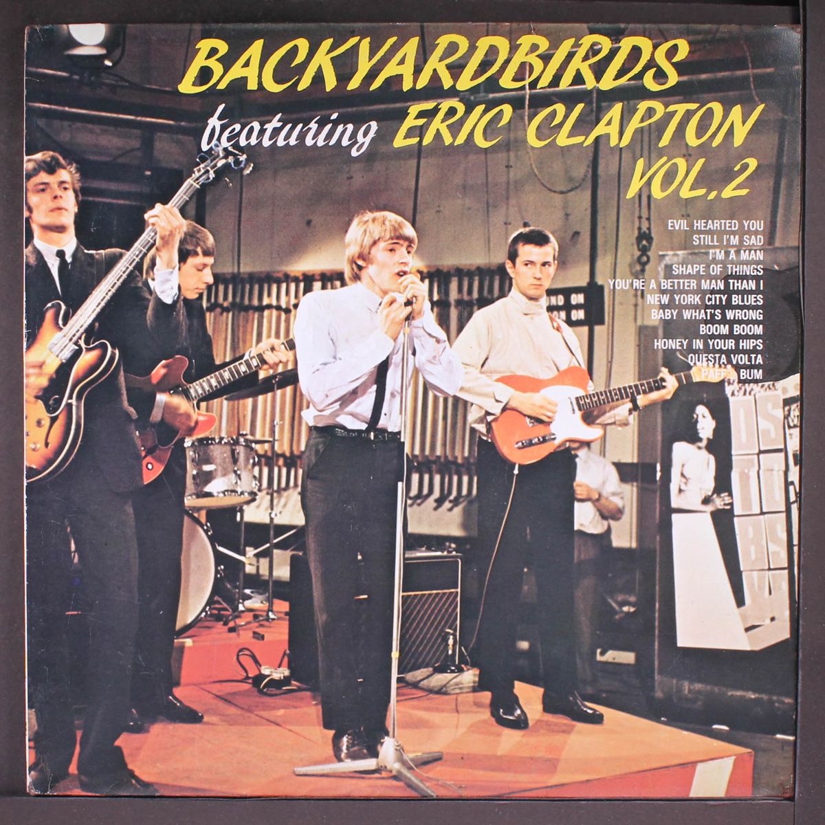 backyardbirds, vol. 2 by YARDBIRDS