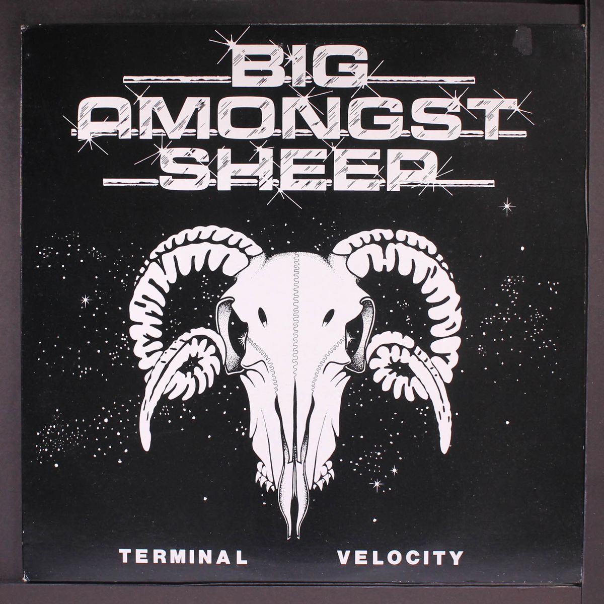 terminal velocity by BIG AMONGST SHEEP