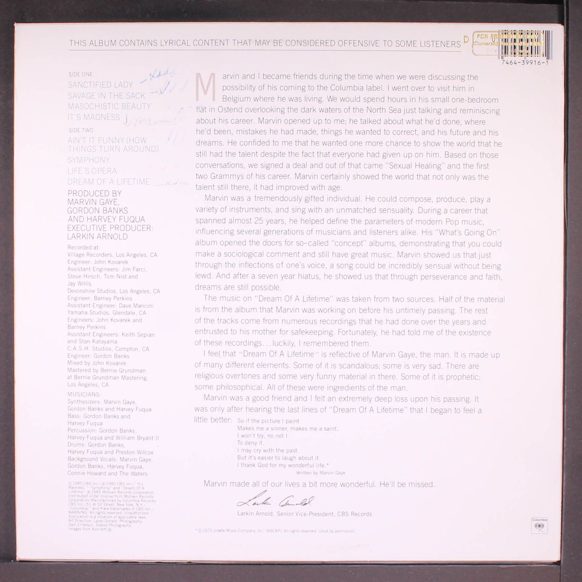 dream of a lifetime by MARVIN GAYE