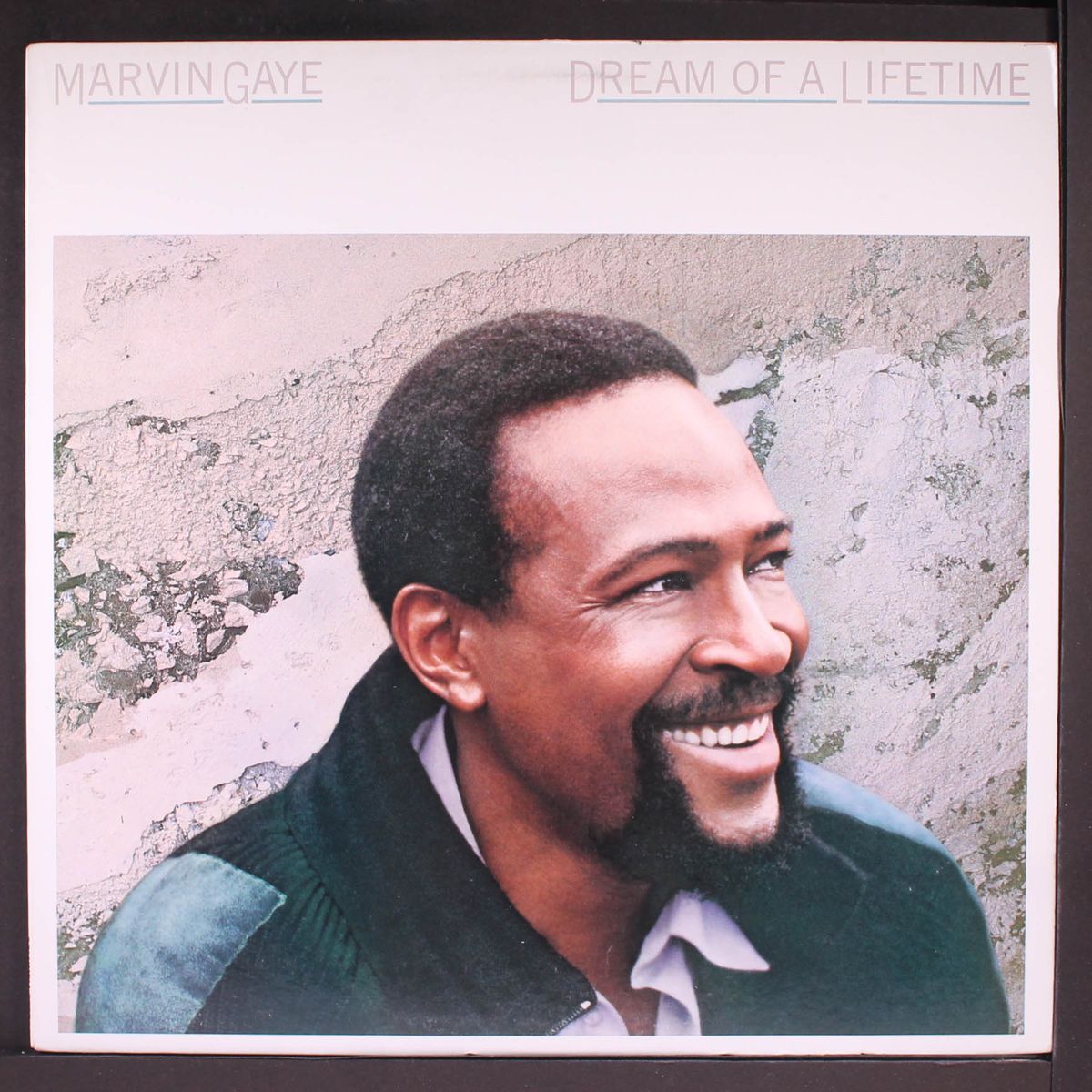 dream of a lifetime by MARVIN GAYE