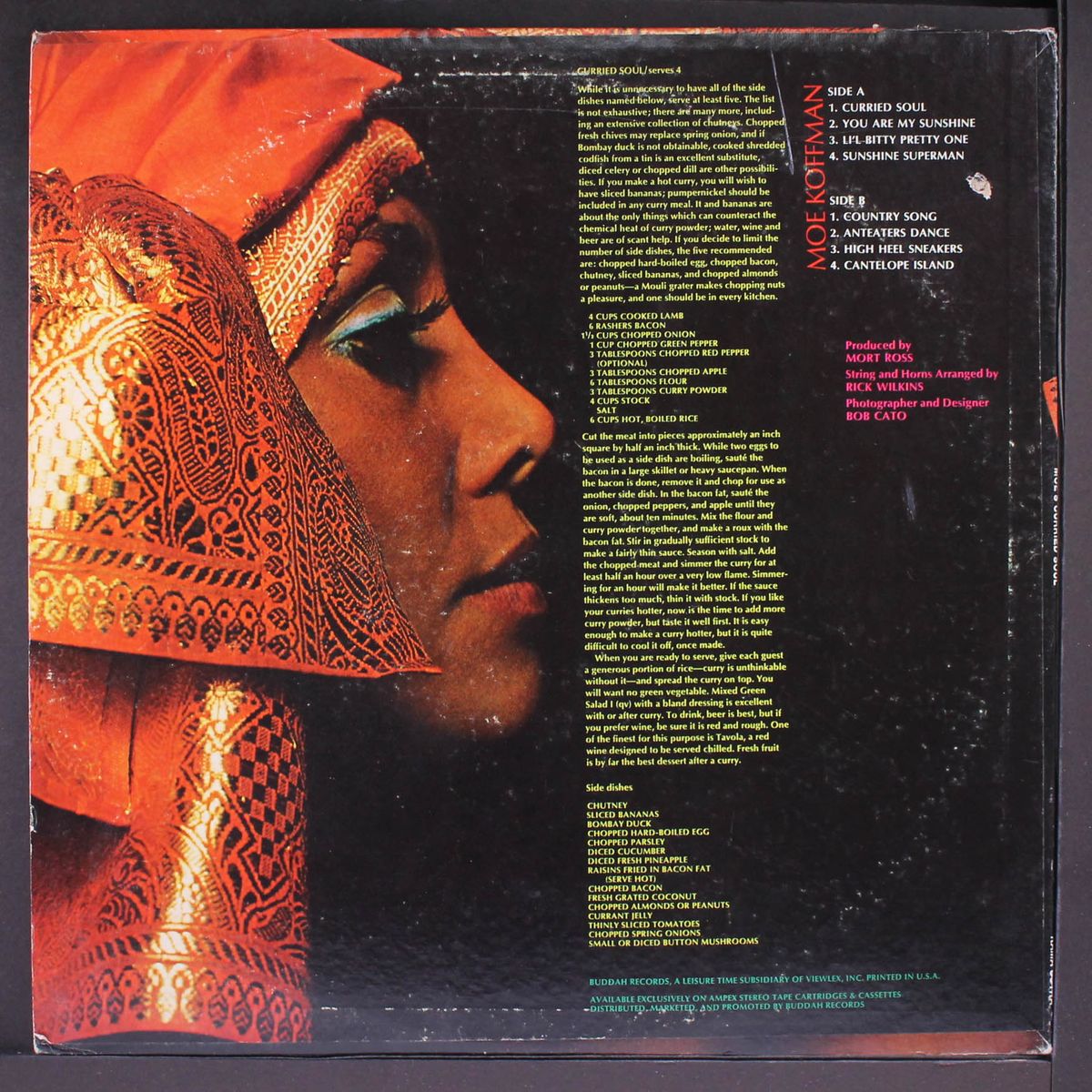 moe's curried soul by MOE KOFFMAN