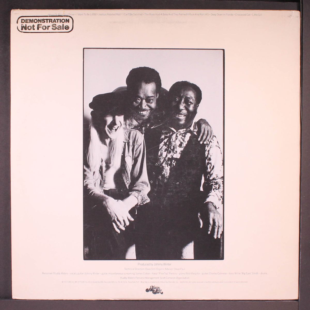 hard again by MUDDY WATERS