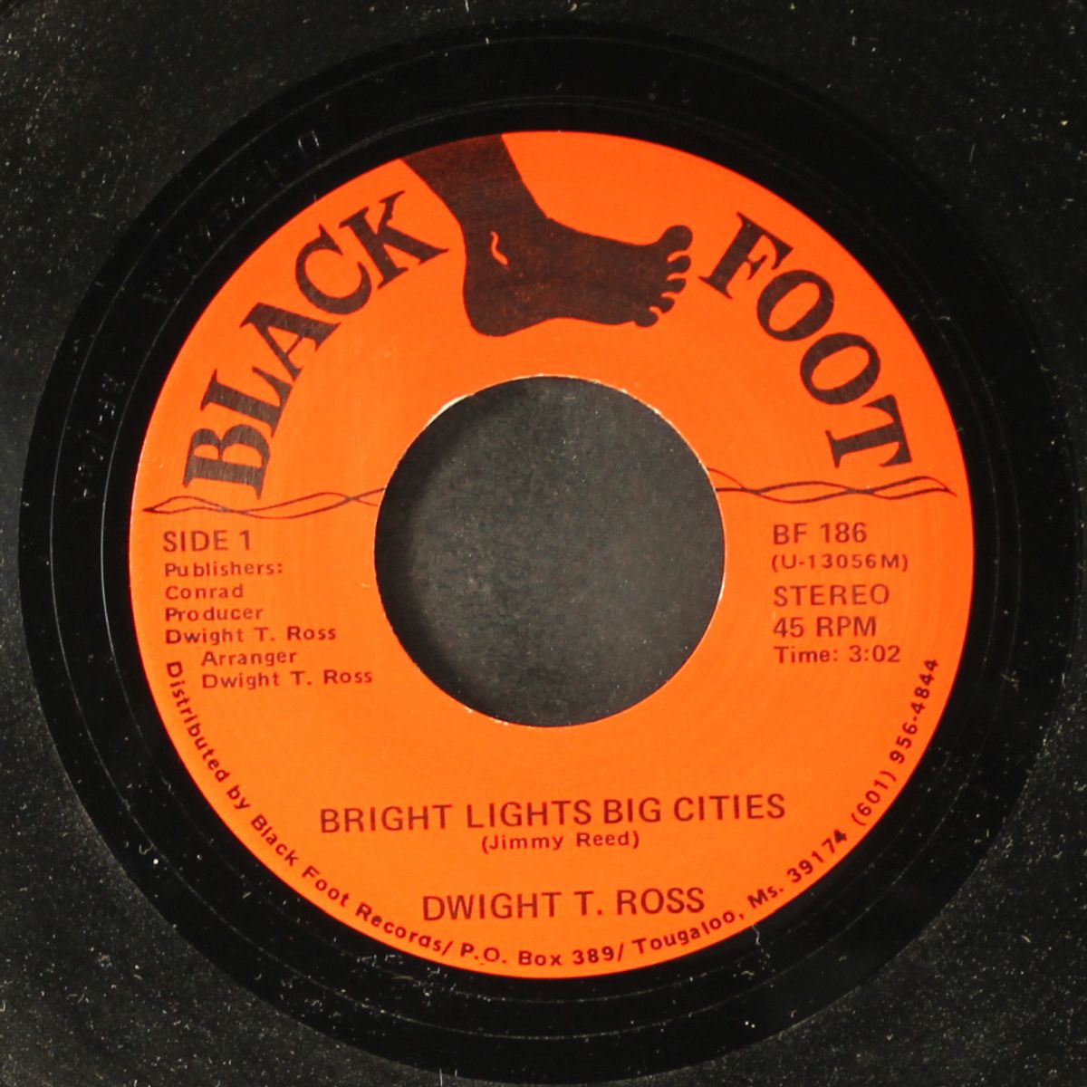 i got the hots for you / bright lights big cities by DWIGHT T. ROSS