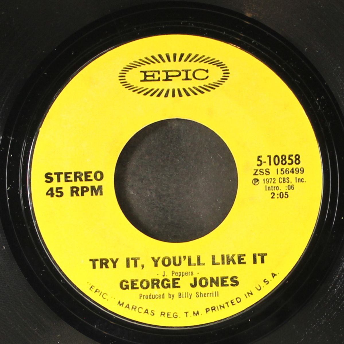 try it, you'll like it by GEORGE JONES