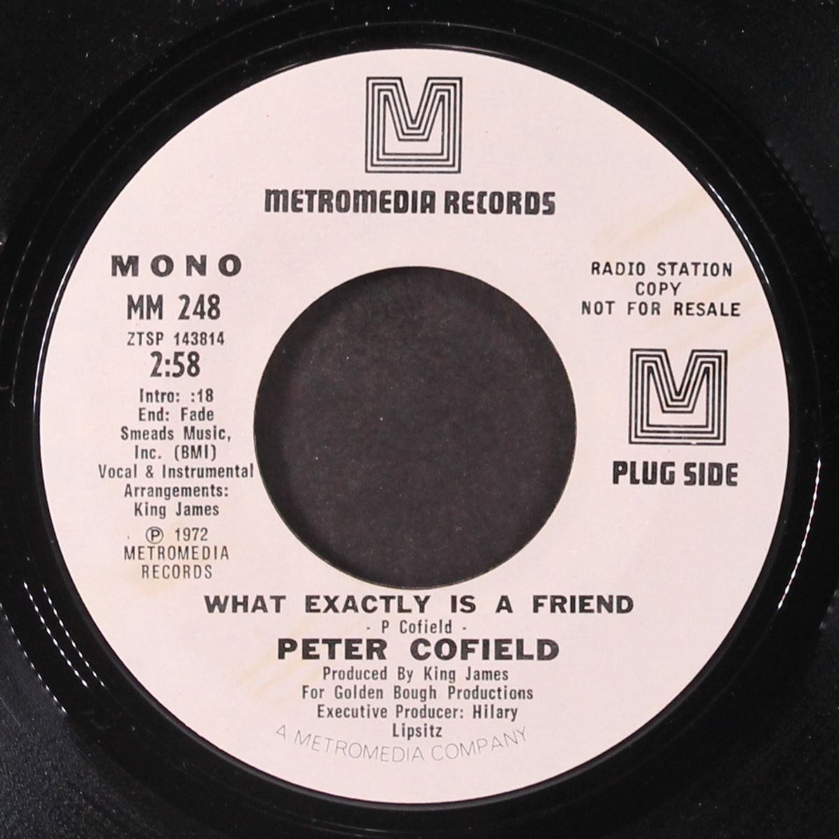 what exactly is a friend / mono by PETER COFIELD