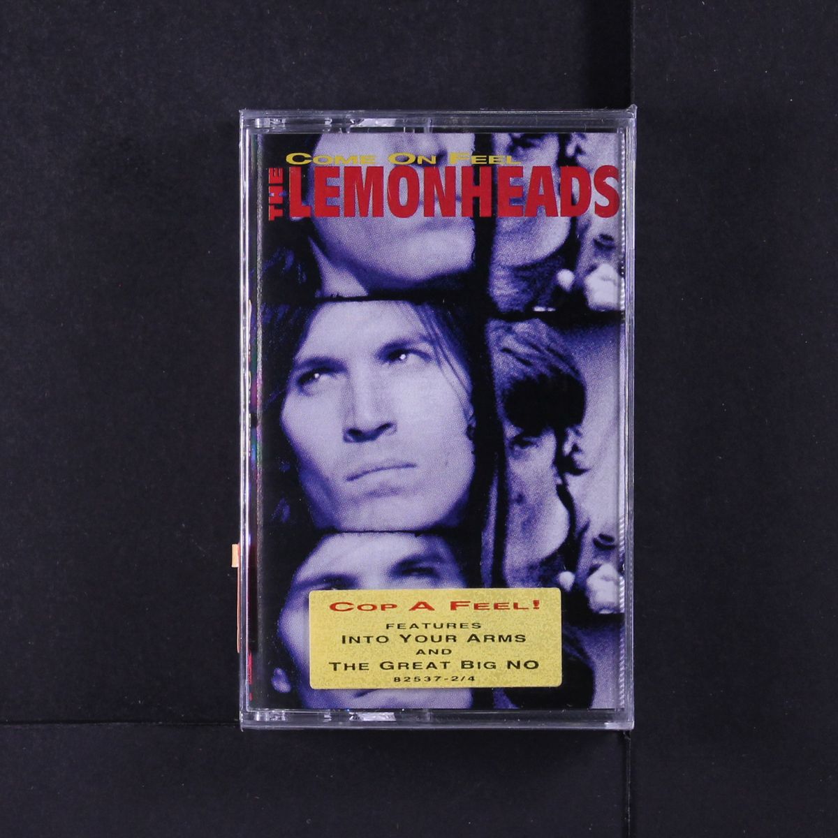 come on feel the lemonheads by LEMONHEADS
