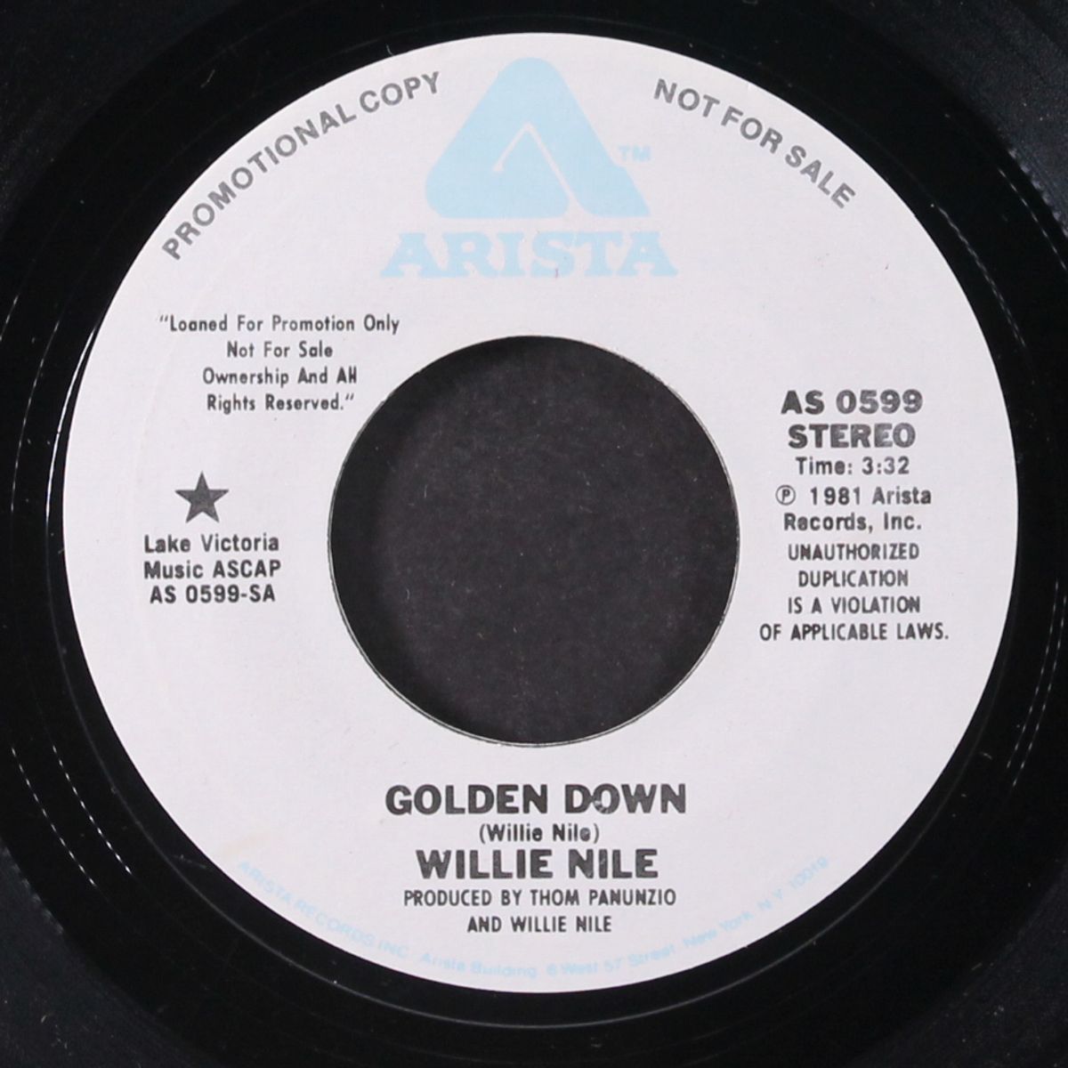 golden down / mono by WILLIE NILE