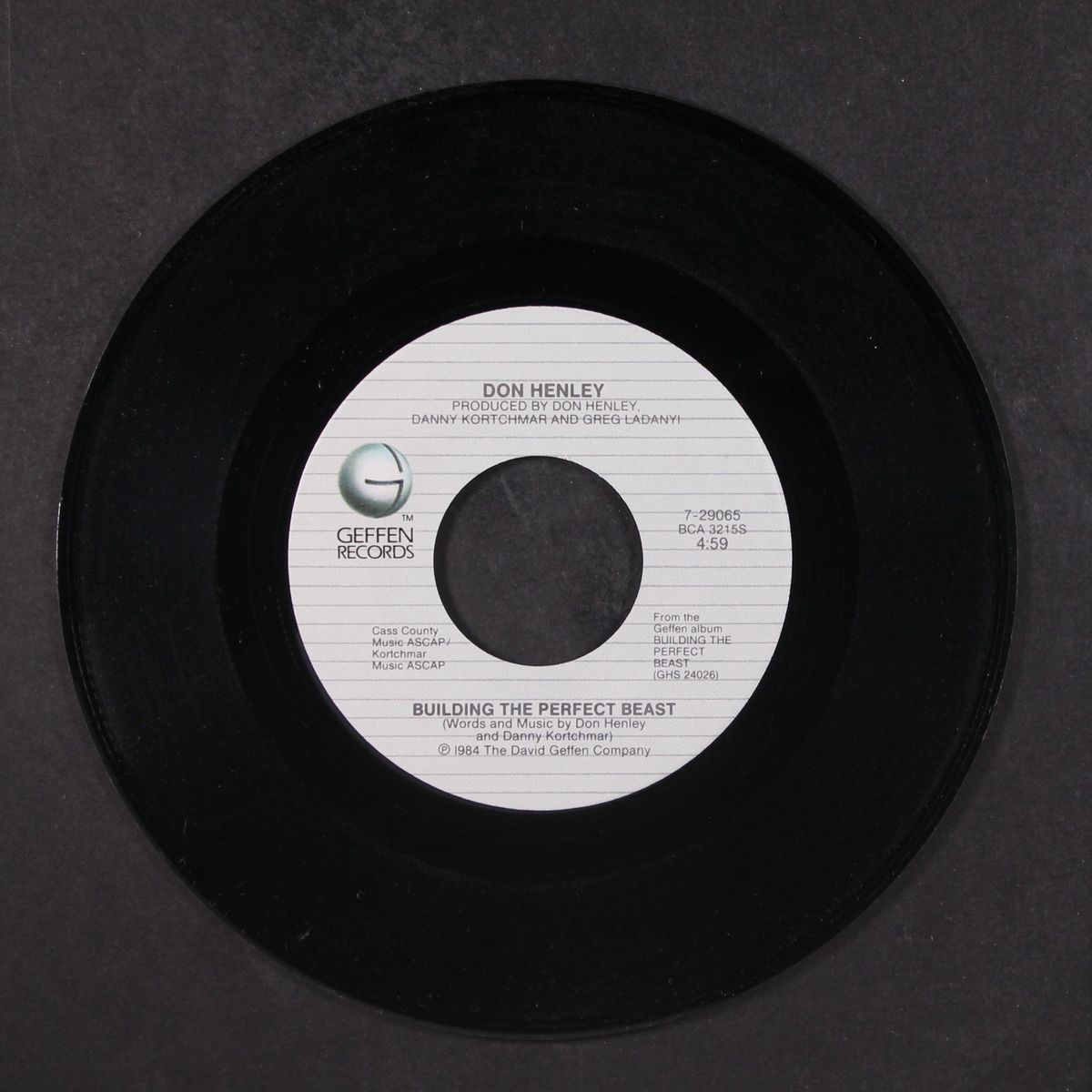 all she wants to do is dance / building the perfect beast by DON HENLEY