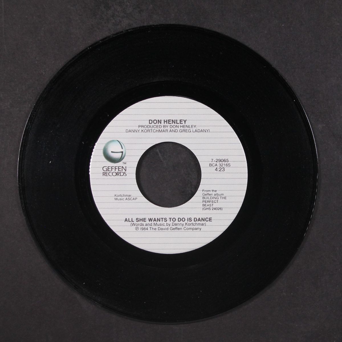 all she wants to do is dance / building the perfect beast by DON HENLEY