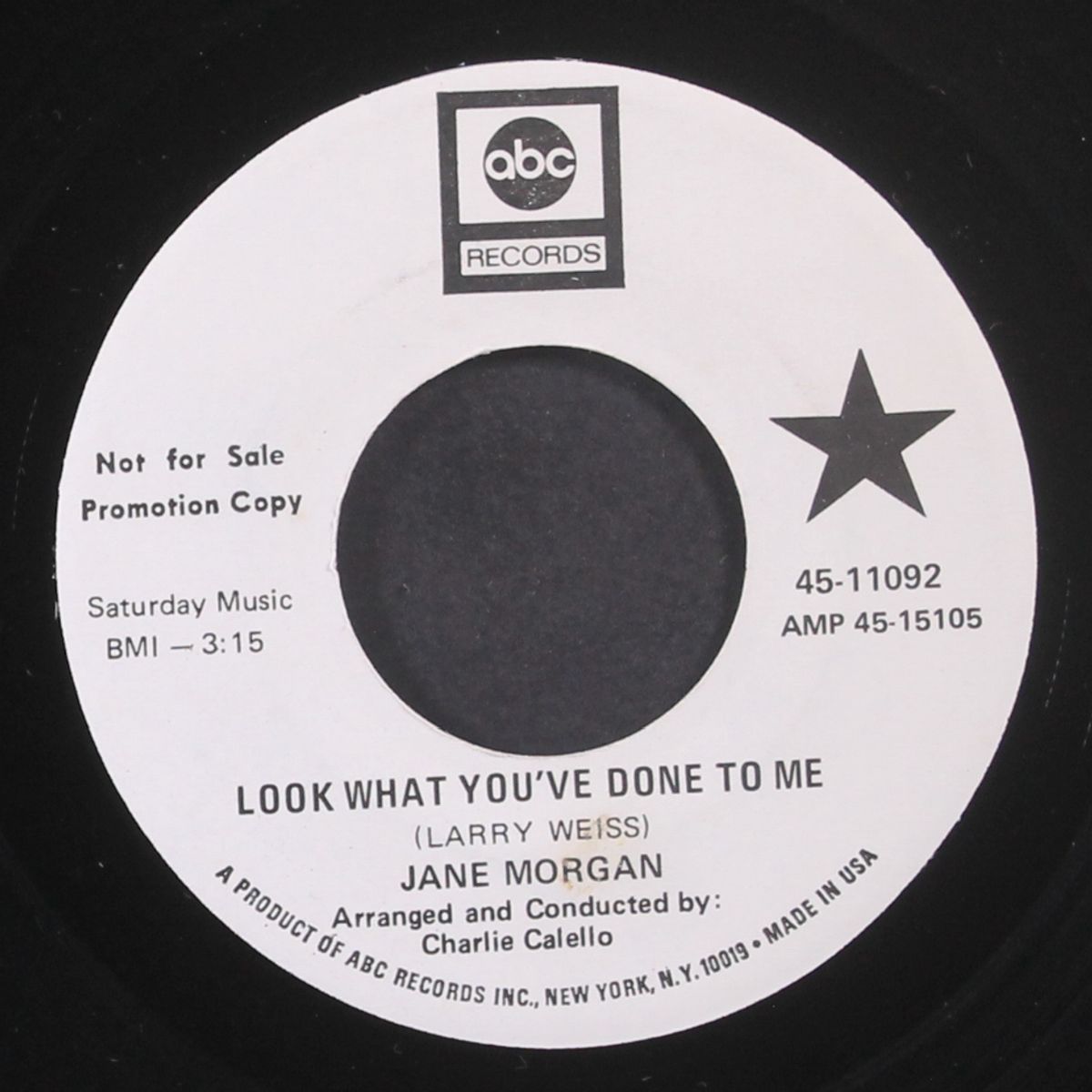 look what you've done to me / there's nothing else on my mind by JANE MORGAN