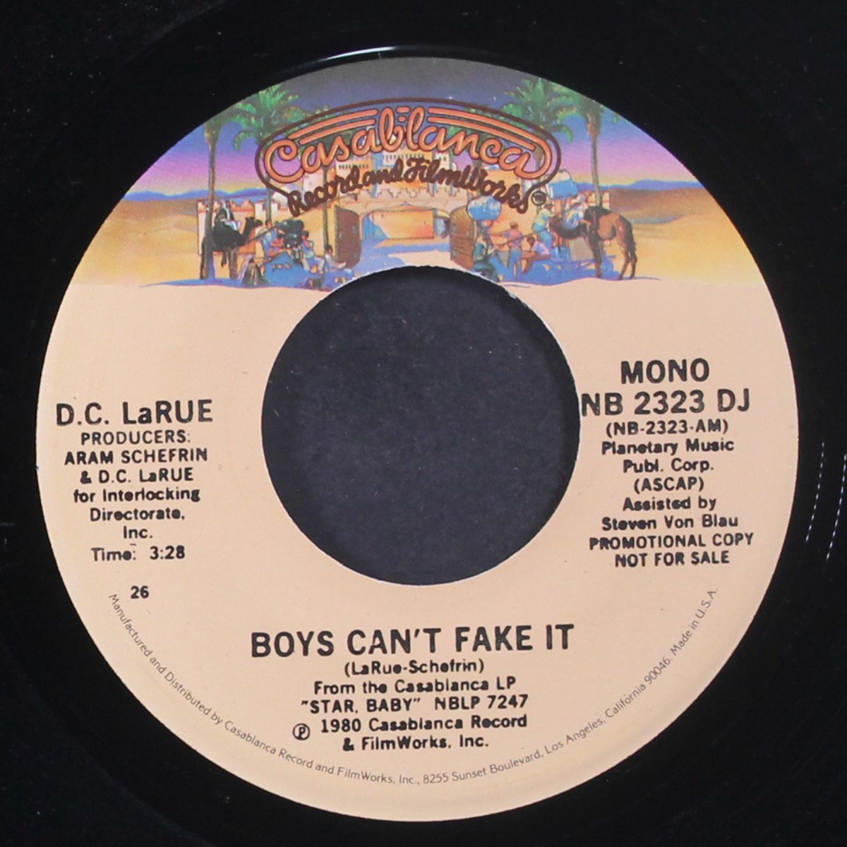 boys can't fake it by D.C. LARUE