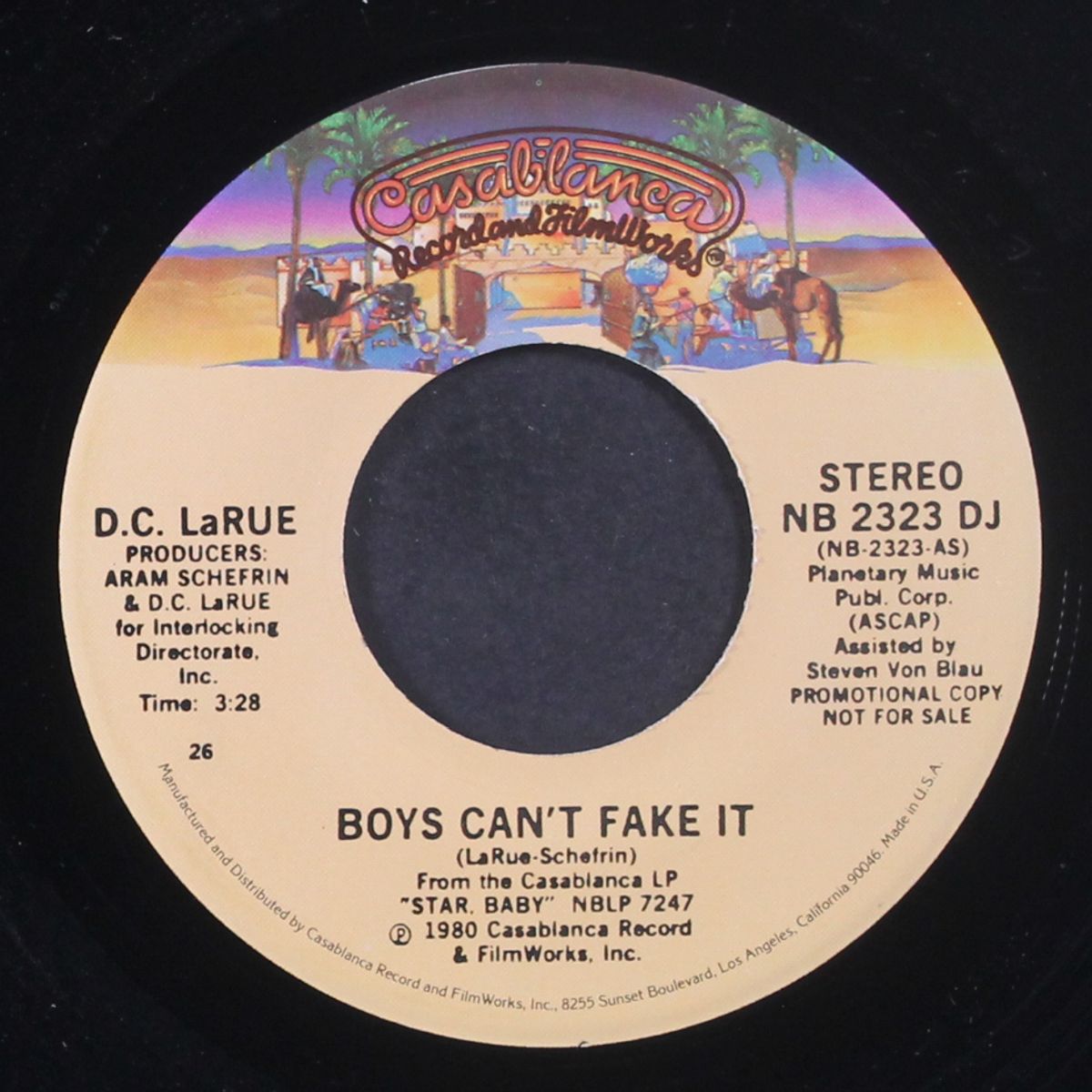 boys can't fake it by D.C. LARUE