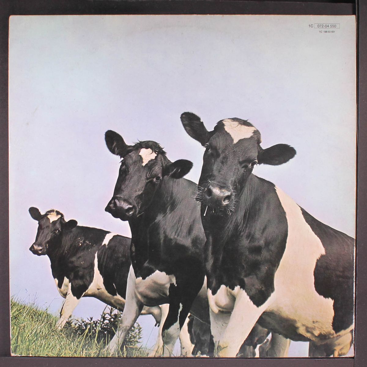 atom heart mother by PINK FLOYD
