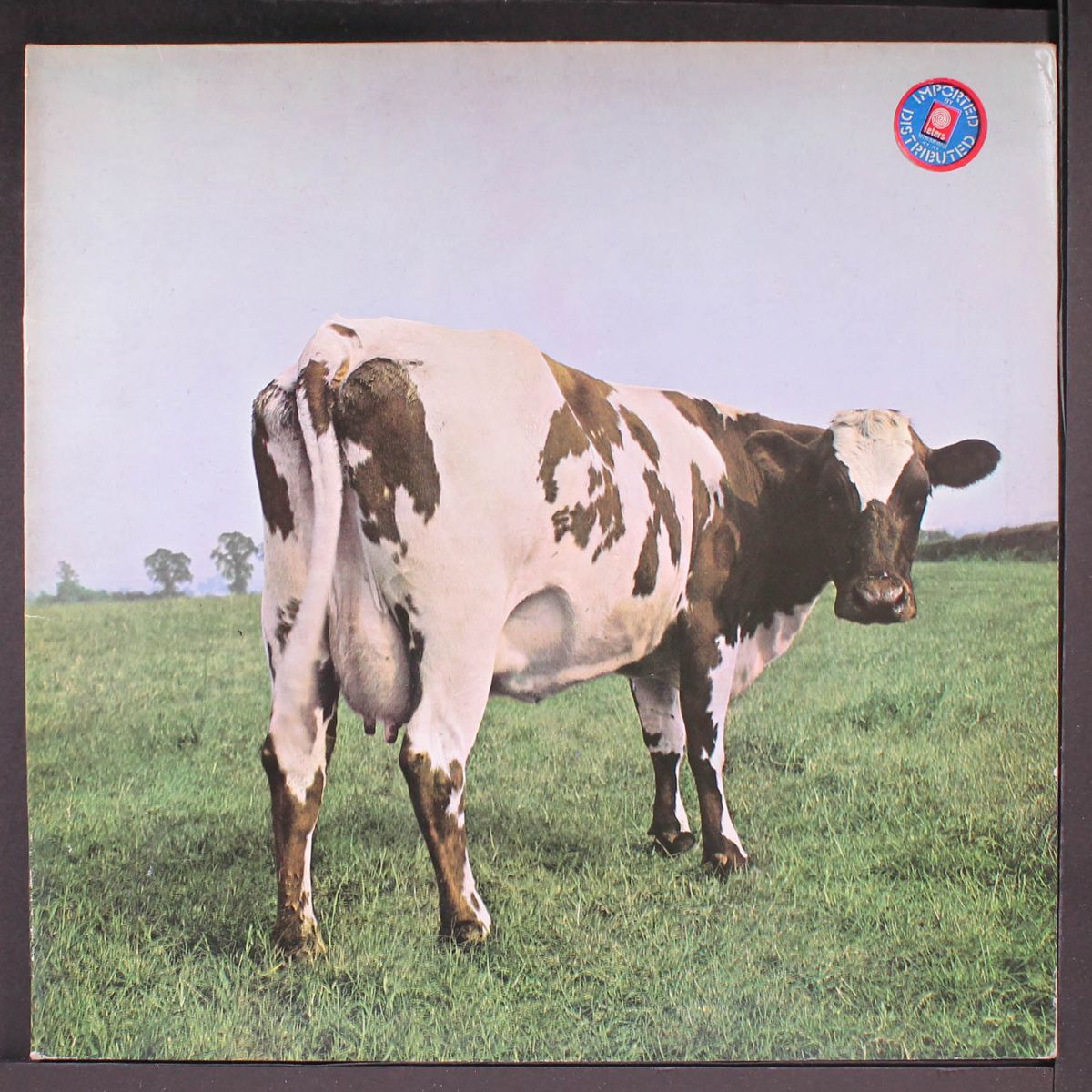 atom heart mother by PINK FLOYD