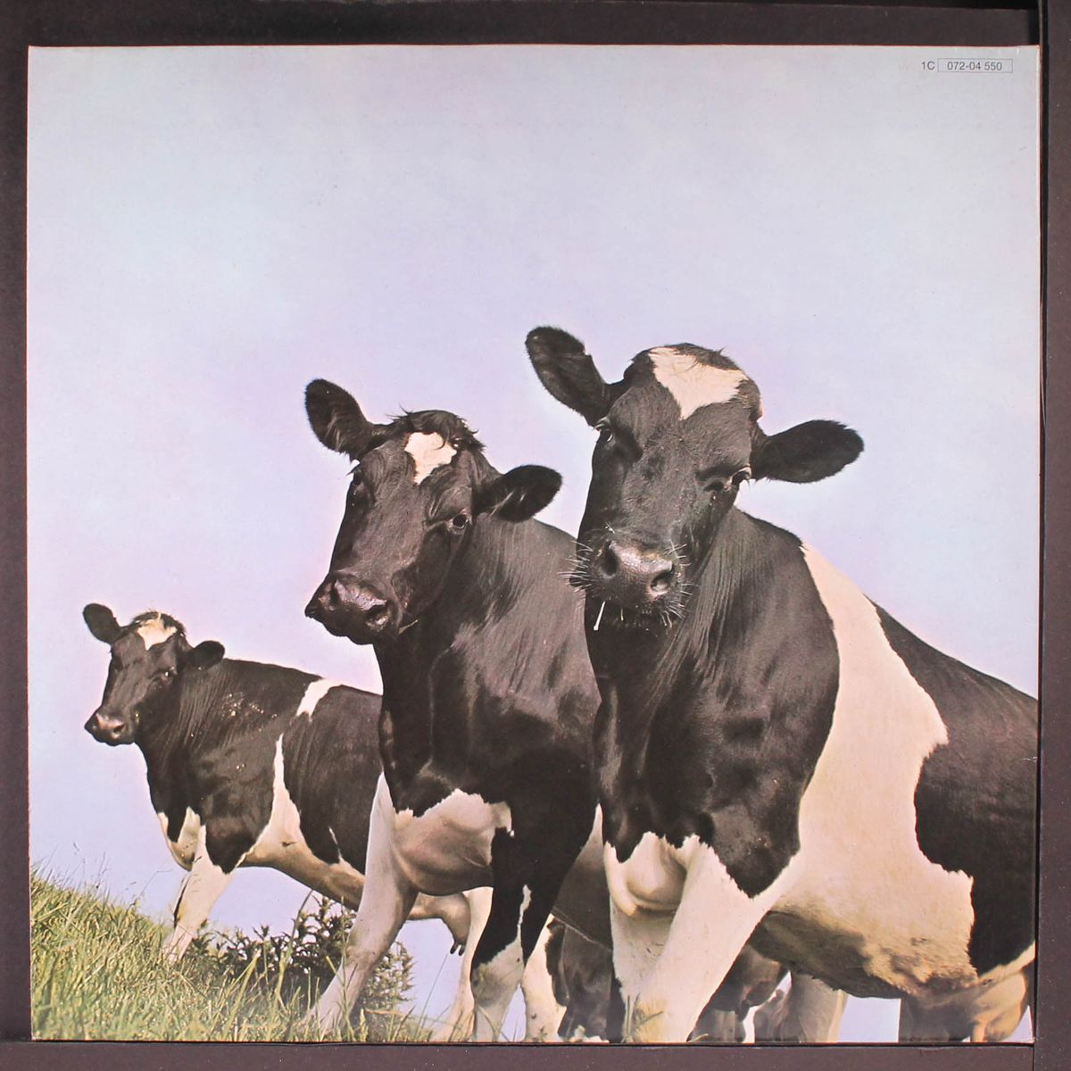 atom heart mother by PINK FLOYD