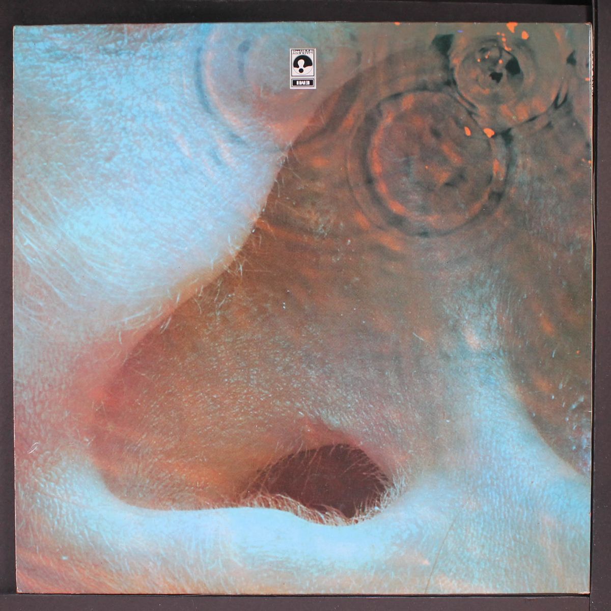 meddle by PINK FLOYD