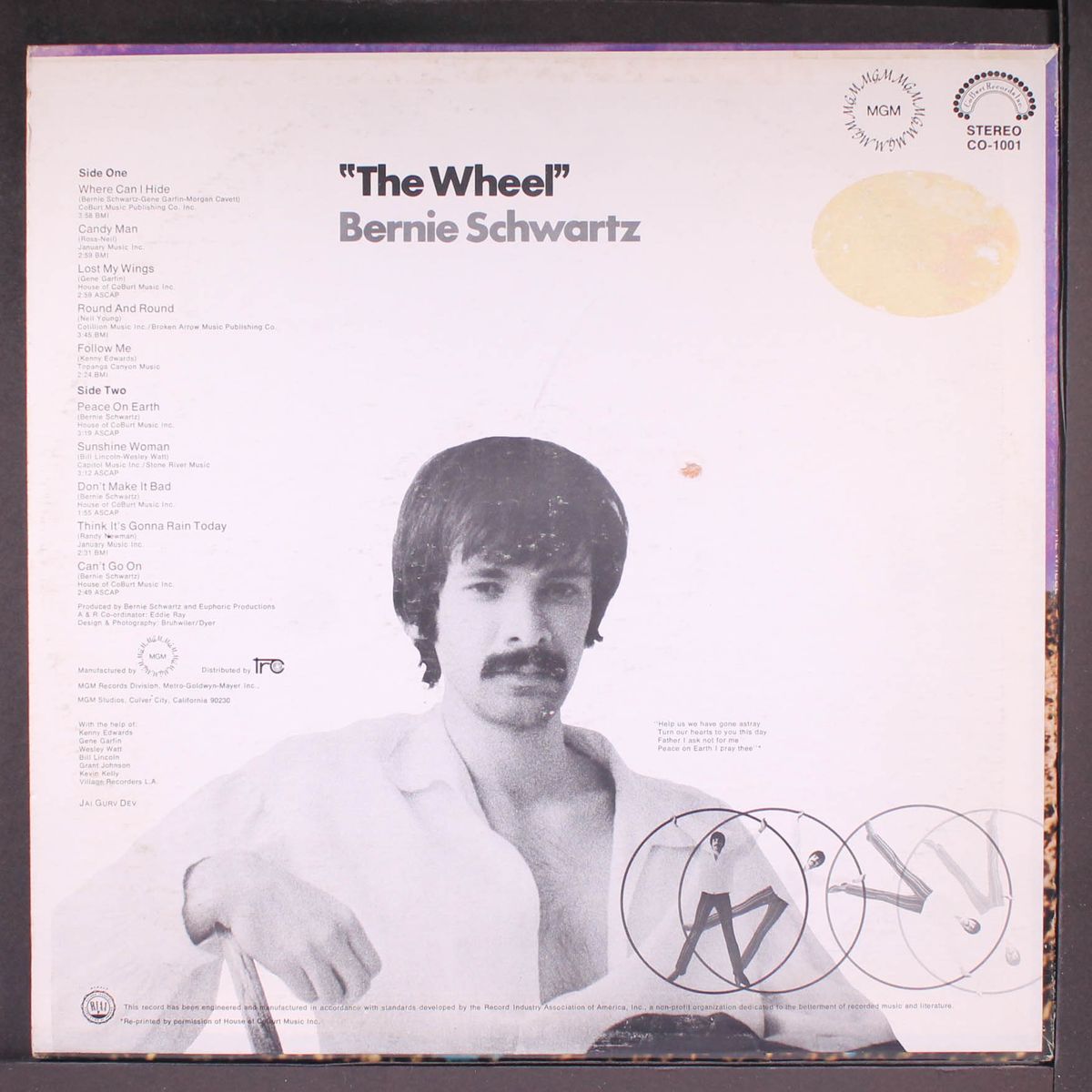 the wheel by BERNIE SCHWARTZ