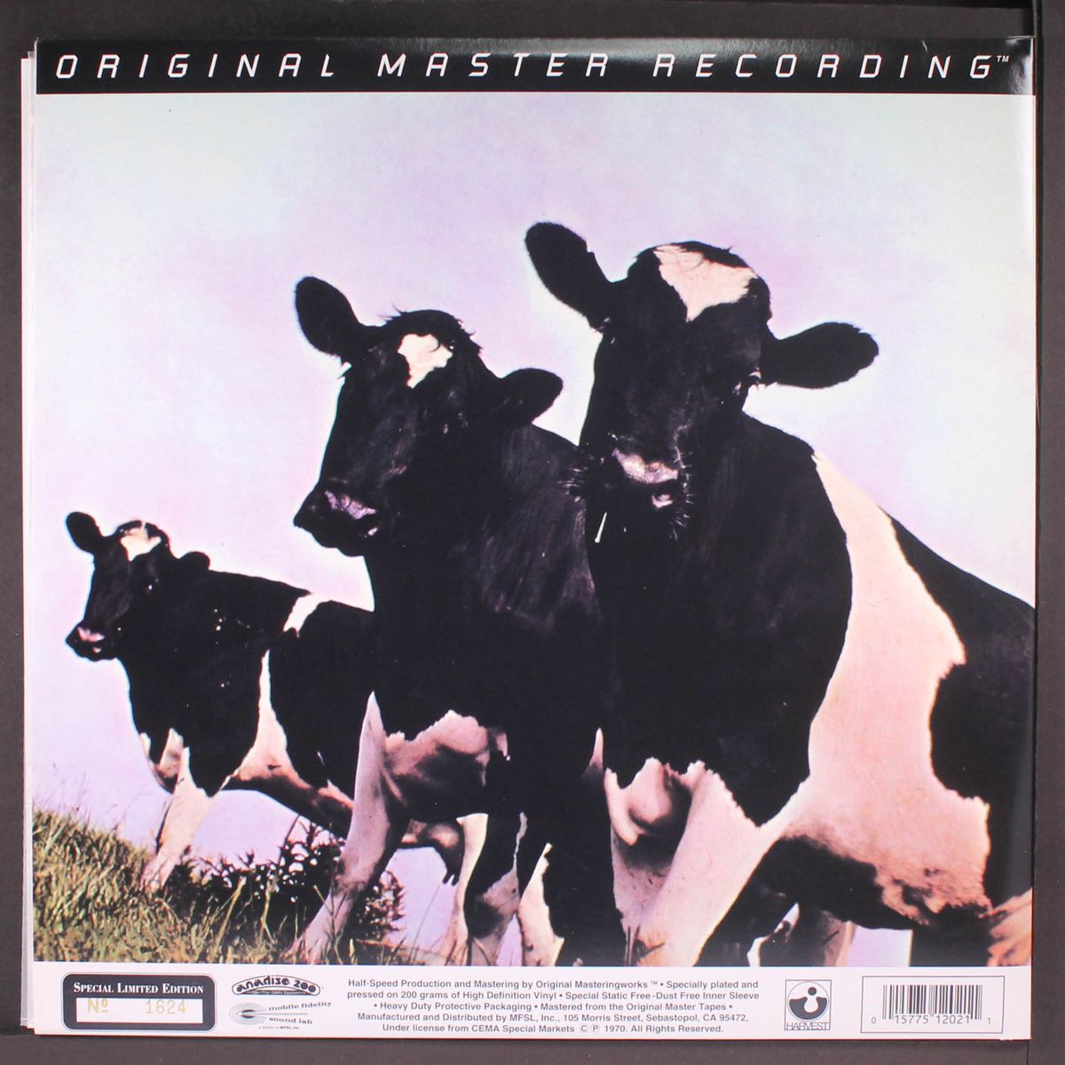 atom heart mother by PINK FLOYD