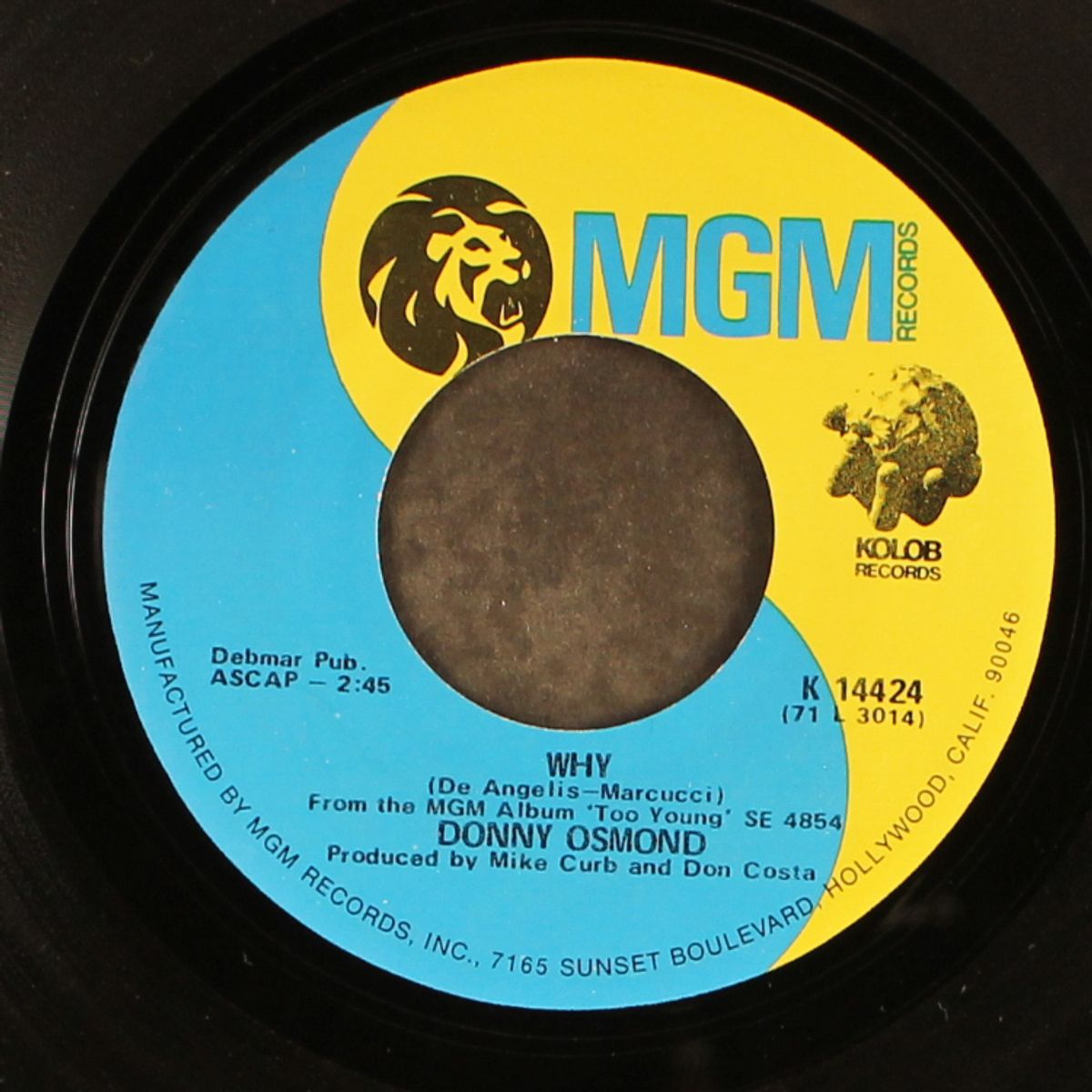 lonely boy by DONNY OSMOND