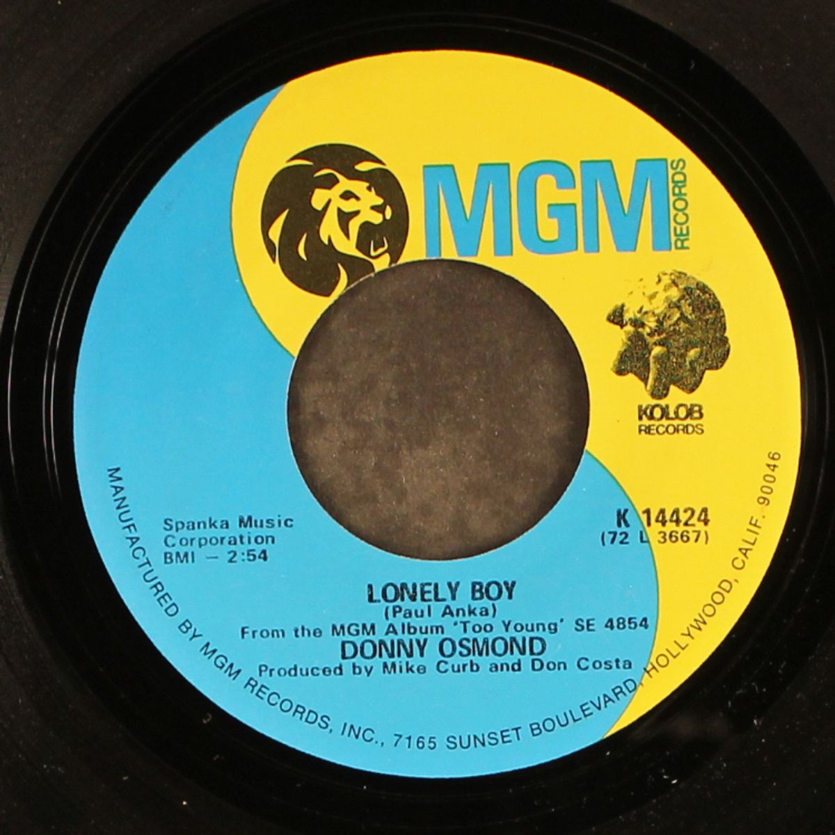 lonely boy by DONNY OSMOND