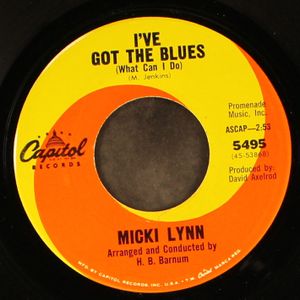 MICKI LYNN