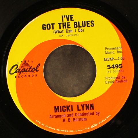 MICKI LYNN