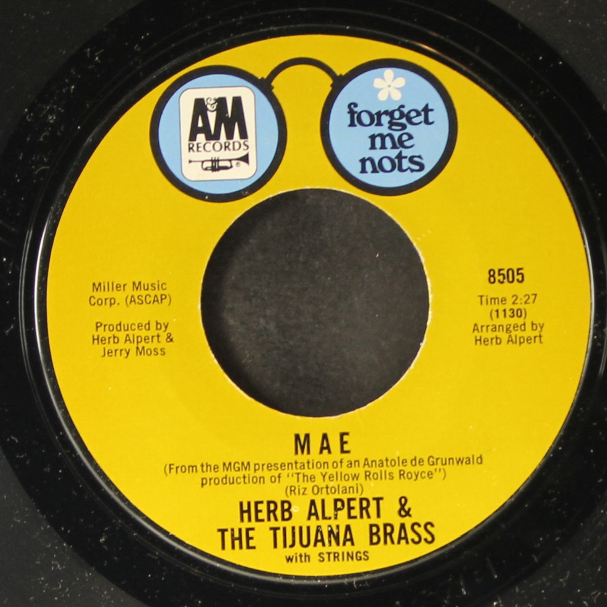 whipped cream / mae by HERB ALPERT