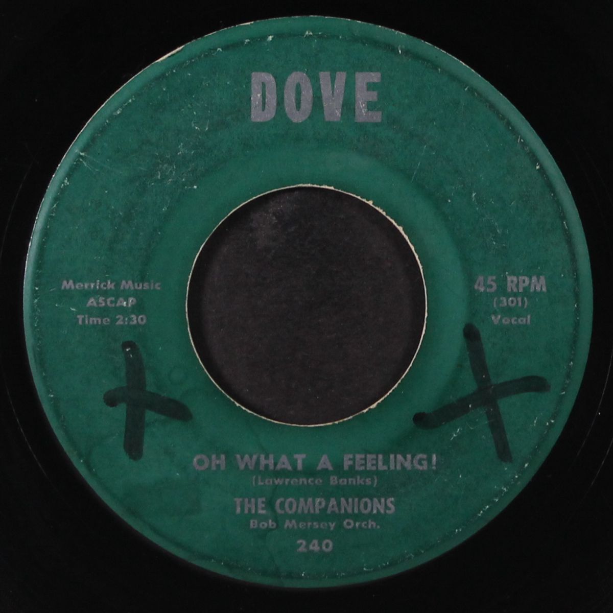 falling / oh what a feeling by COMPANIONS