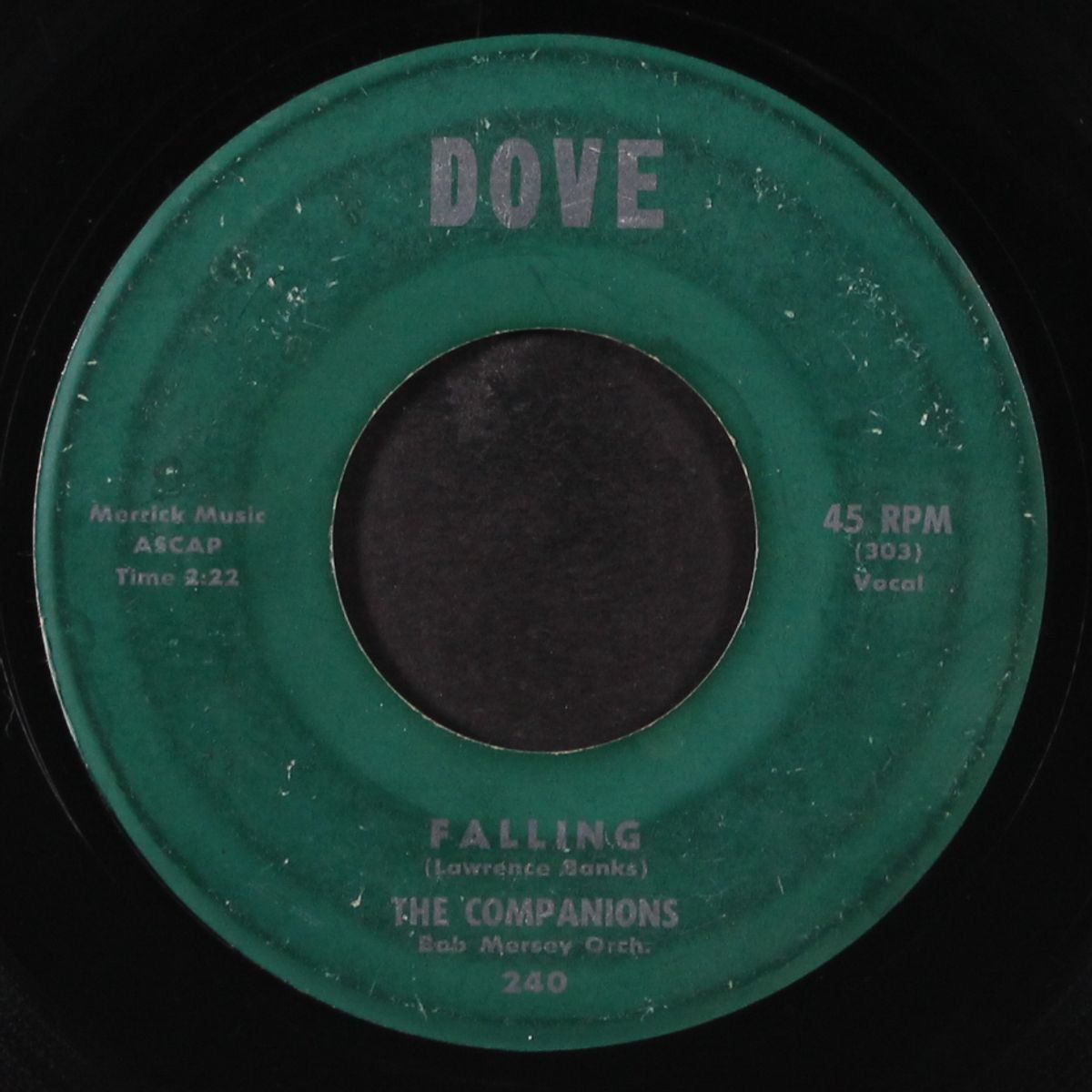 falling / oh what a feeling by COMPANIONS