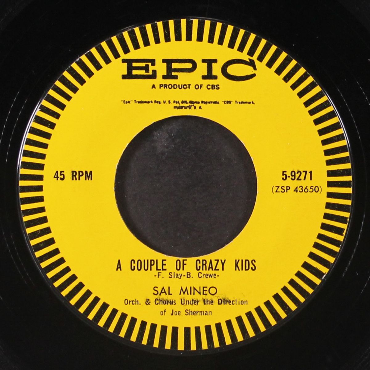 seven steps to love / a couple of crazy kids by SAL MINEO