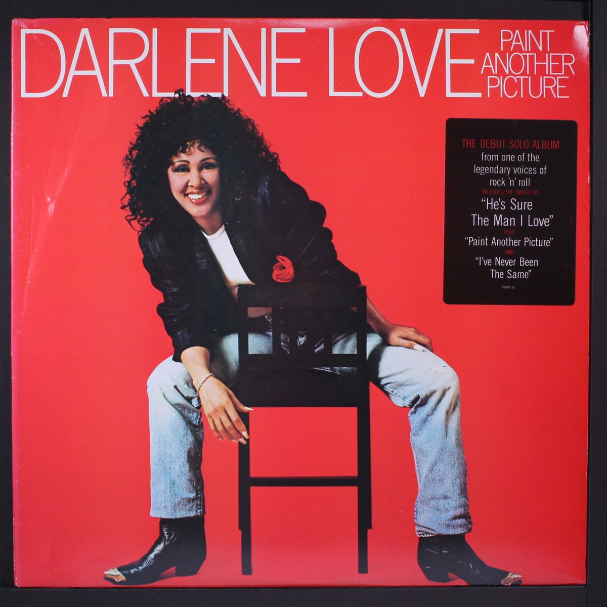 paint another picture by DARLENE LOVE