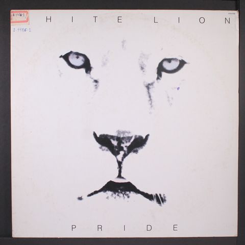 WHITE LION