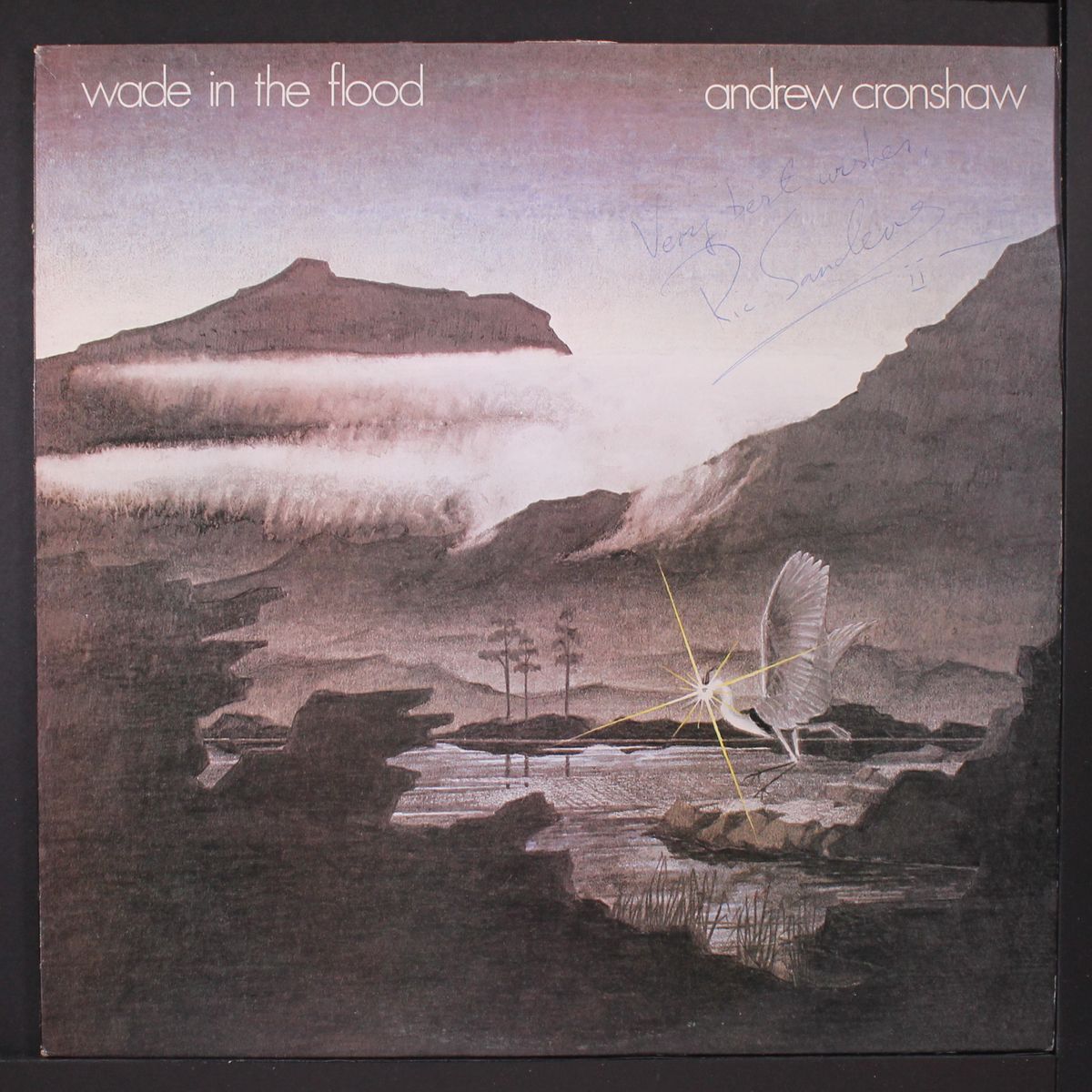 wade in the flood by ANDREW CRONSHAW