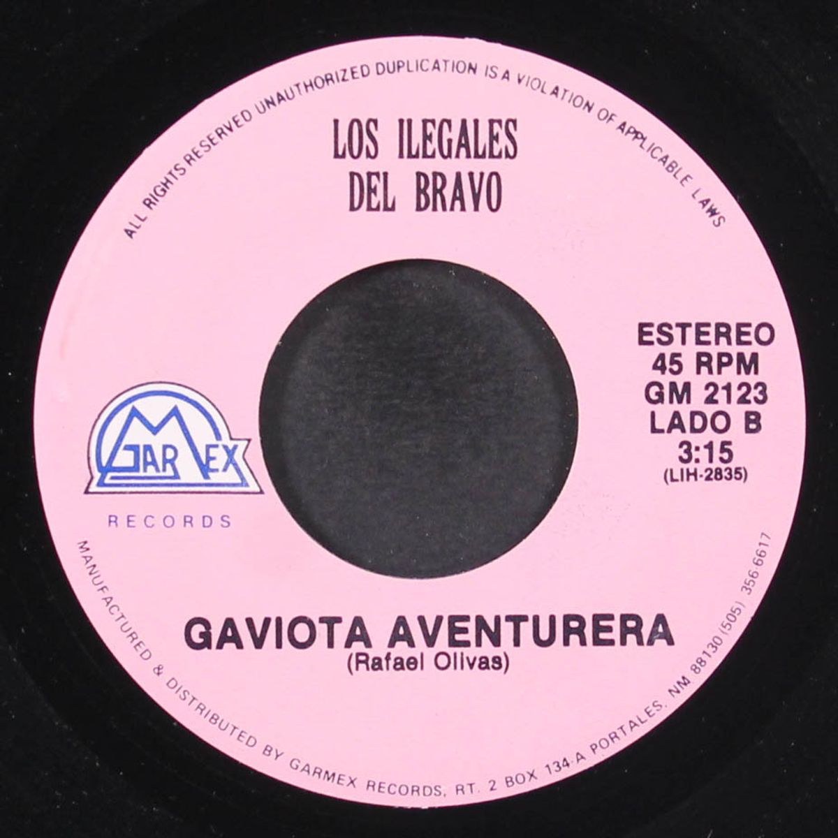 el marranon / gaviota aventurera by LOS ILEGALES DEL BRAVO