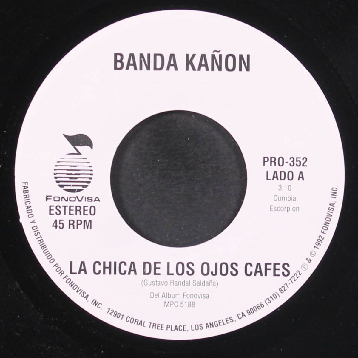 la chica de los ojos cafes / cubreme by BANDA KANON