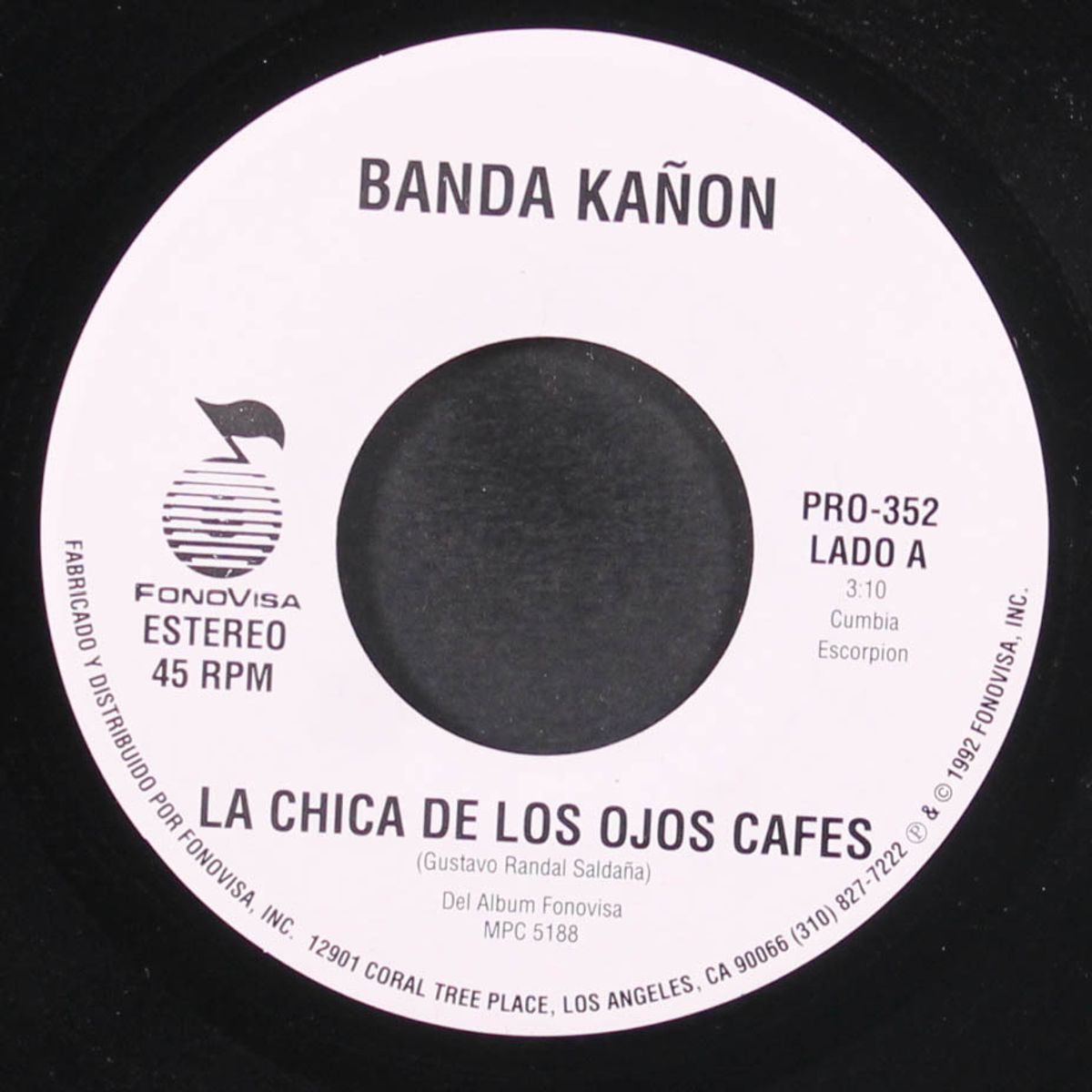 la chica de los ojos cafes / cubreme by BANDA KANON
