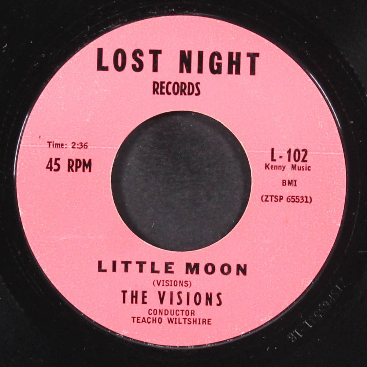 teenager's life / little moon by VISIONS
