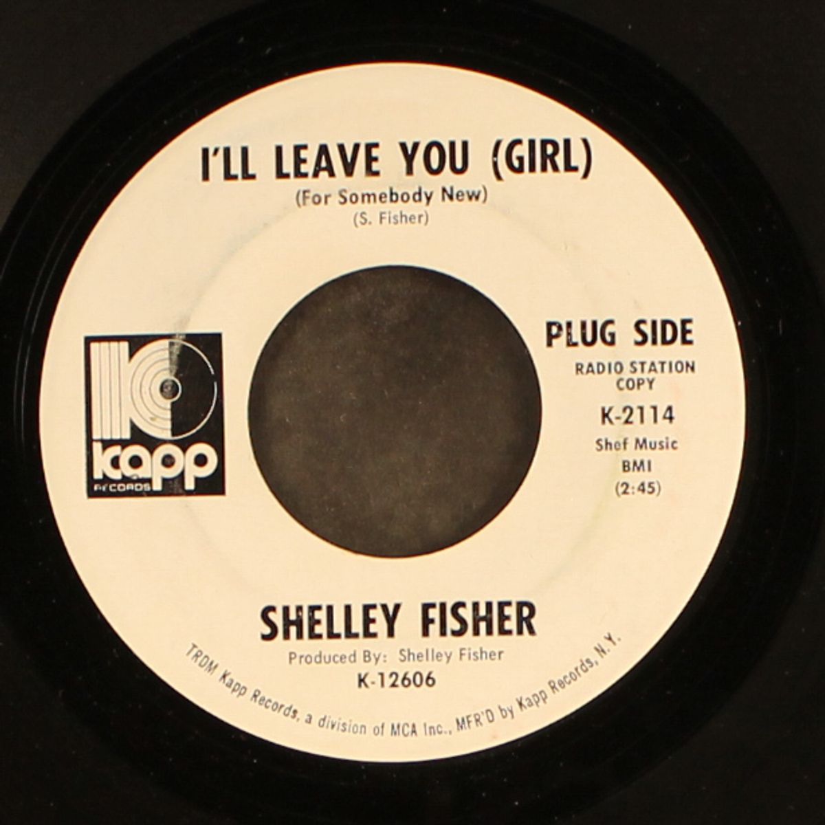 i'll leave you (girl) / saint james infirmary by SHELLEY FISHER