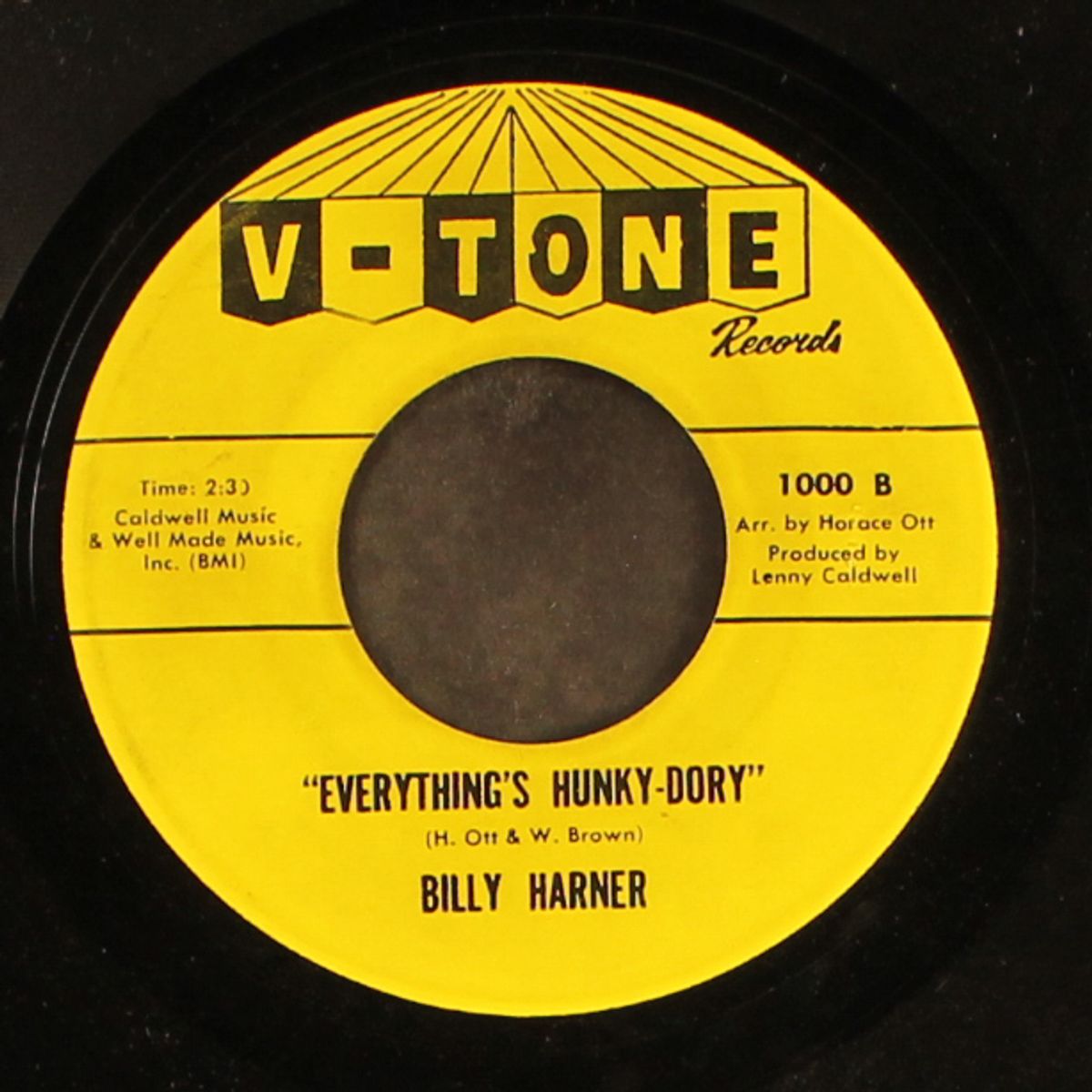 everything's hunky dory by BILLY HARNER