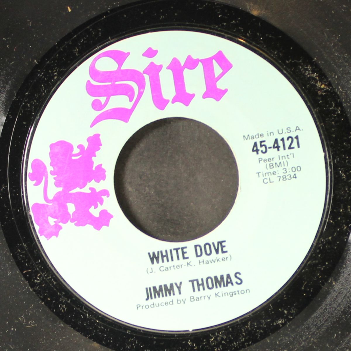 white dove by JIMMY THOMAS