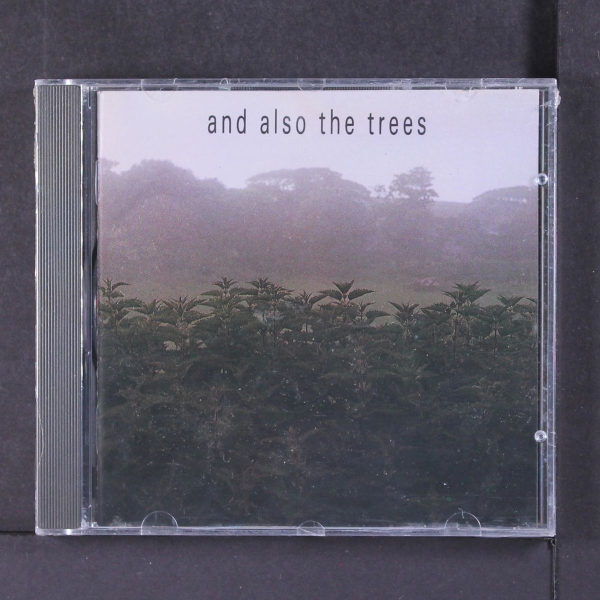 and also the trees by AND ALSO THE TREES