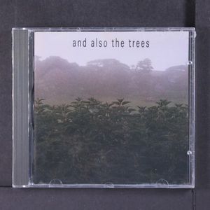 AND ALSO THE TREES