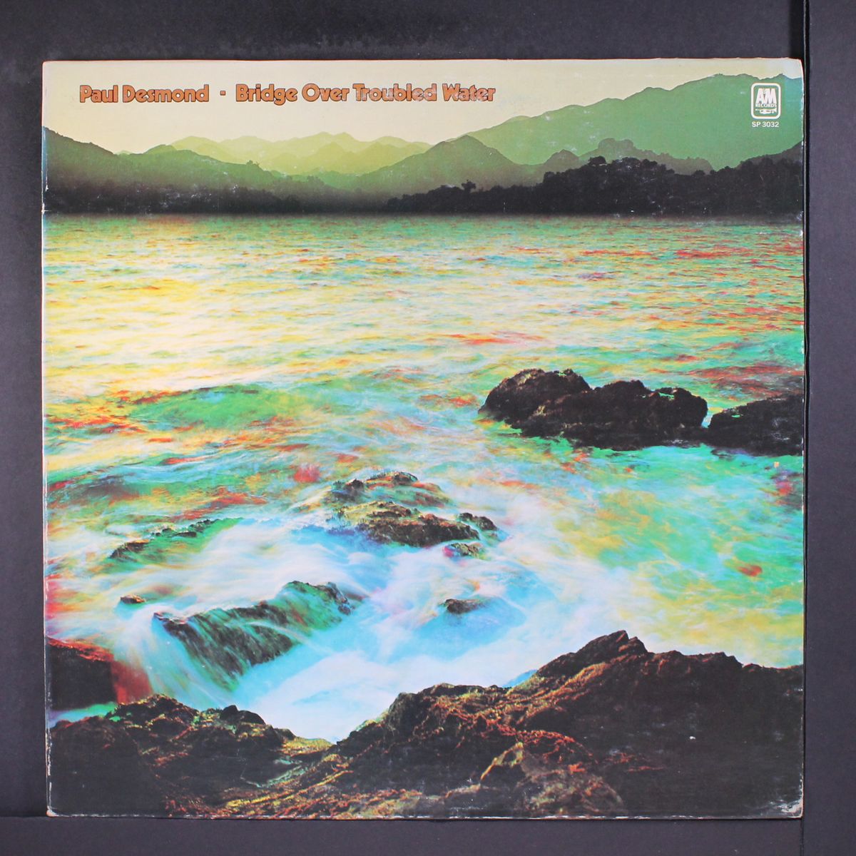 bridge over troubled water by PAUL DESMOND