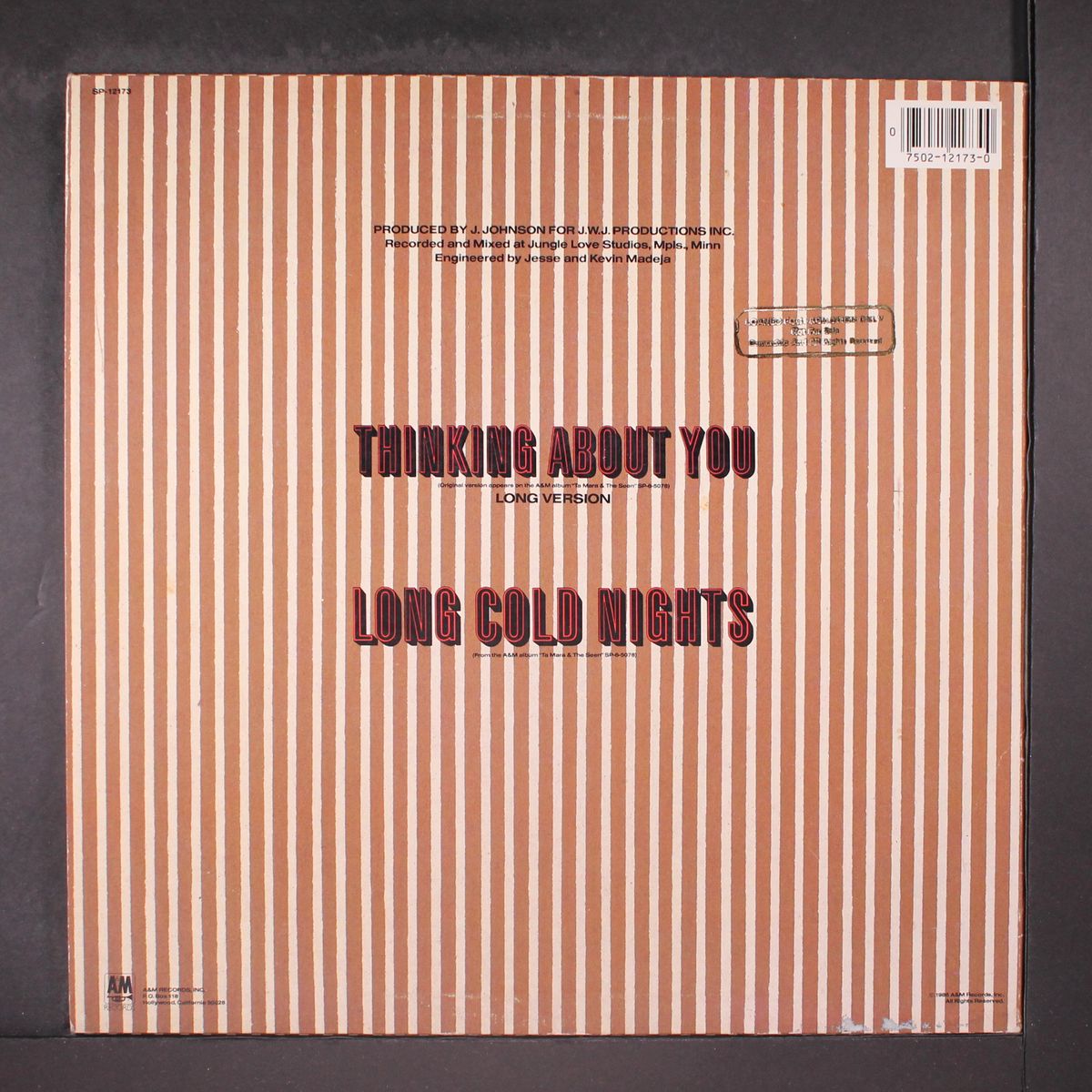 thinking about you by TA MARA & THE SEEN
