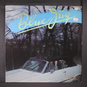 BLUE JUG
