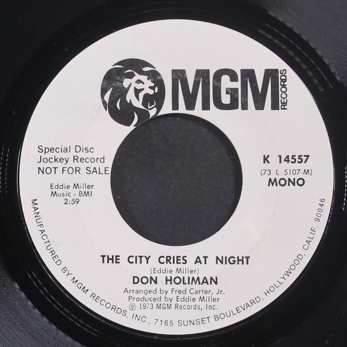 the city cries at night / mono by DON HOLIMAN