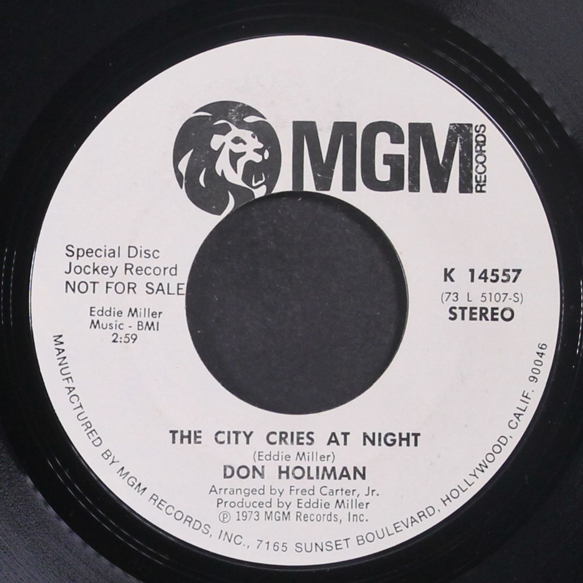 the city cries at night / mono by DON HOLIMAN